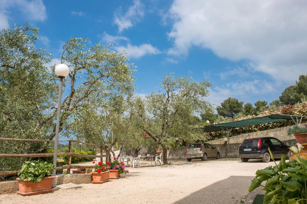 Alba Del Gargano Home เวียสเต ภายนอก รูปภาพ