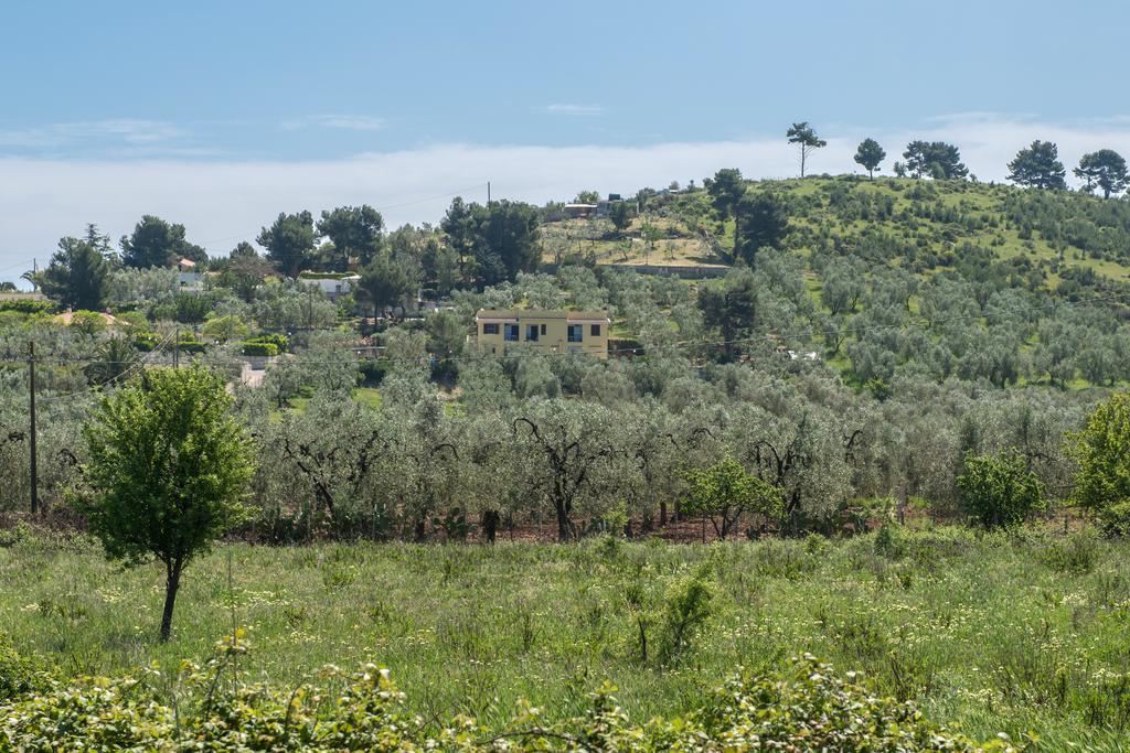 Alba Del Gargano Home เวียสเต ภายนอก รูปภาพ