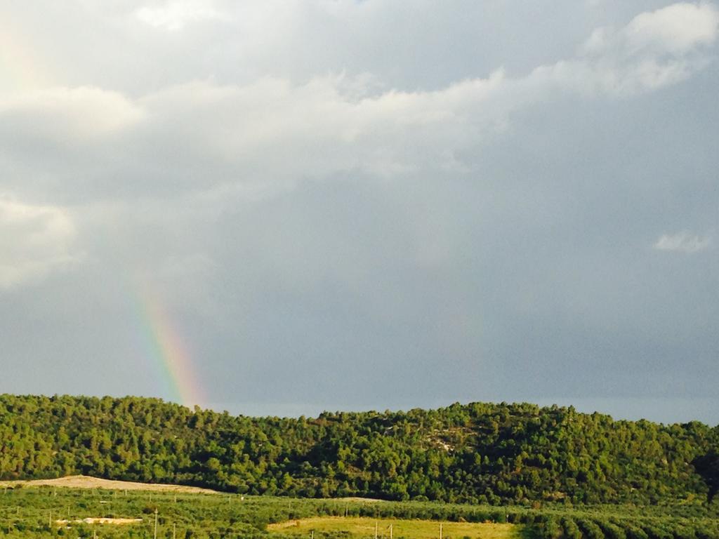 Alba Del Gargano Home เวียสเต ภายนอก รูปภาพ